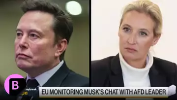 Musk's Conversation on X With AfD's Weidel: Here's What We Learned