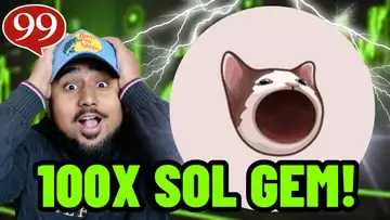 POPCAT ON SOL IS THE NEXT 100X SOLANA GEM!!! 100X MEME COIN