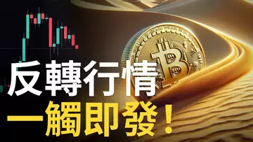 比特幣追漲情緒高漲︱BTC下跌洗劫多頭︱山寨币起飛︱幣圈反轉一觸即發