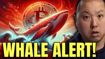 Bitcoin Holders Pay Attention To These Whale Moves!