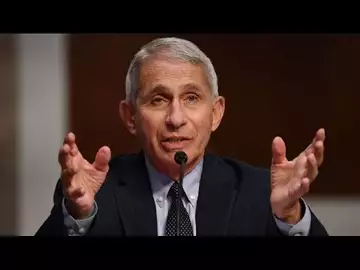 Fauci Says New Covid Cases Could Rise to 100,000 a Day If No Change