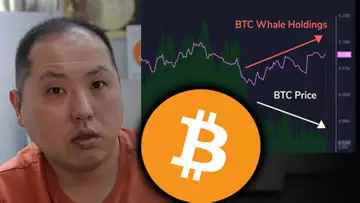 NO SURPRISE...BITCOIN WHALES ARE BUYING