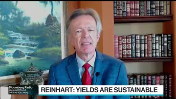 Fed Will Keep Rates at a Plateau, Vincent Reinhart Says