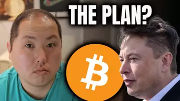 ELON MUSK'S HIDDEN PLAN FOR BITCOIN